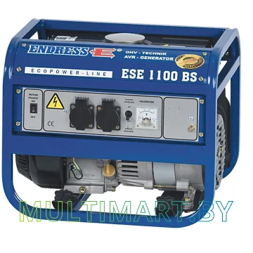 Электростанция ENDRESS ESE 1100 BS